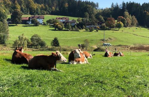 Biohof Weiderer - Foto 16