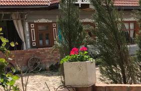 Zagroda w Puszczy - Photo 19