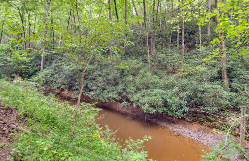 Secluded Mountain Retreat 30 Mi to Asheville! - Foto 24