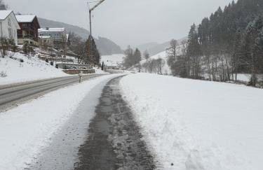 Ferienwohnung am Siegelbächle - Foto 19