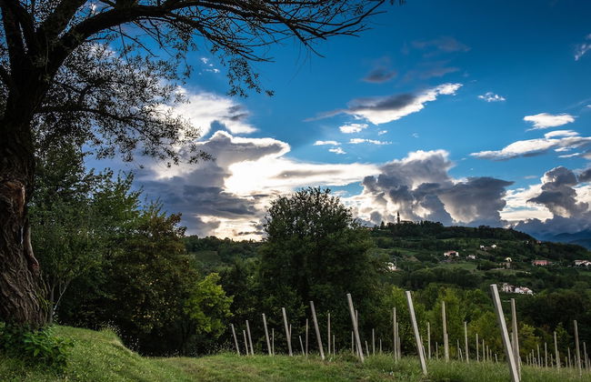 Agriturismo Le Spezie - Foto 43