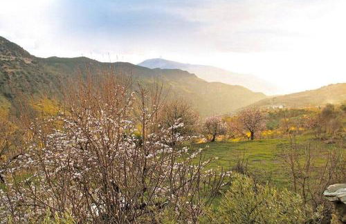 Casa Carmela, rural house with spectacular views, in an exquisite area - Foto 28