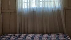 Canto da árvore - Foto 2