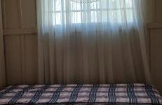 Canto da árvore - Photo 2