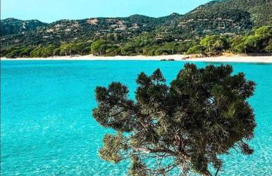 Villa les Palmiers pool spa view of Bavella - Foto 30