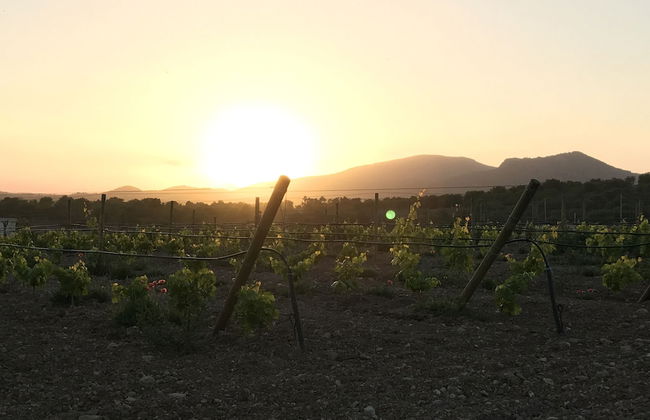 Ca Na Nina - Photo 41