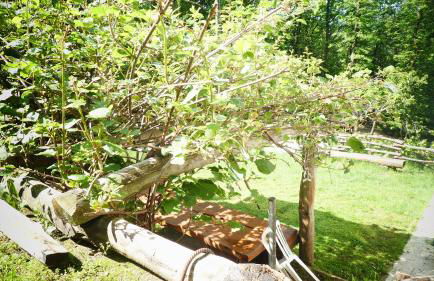 Cascina Marasca Appartamento Viola - Photo 6