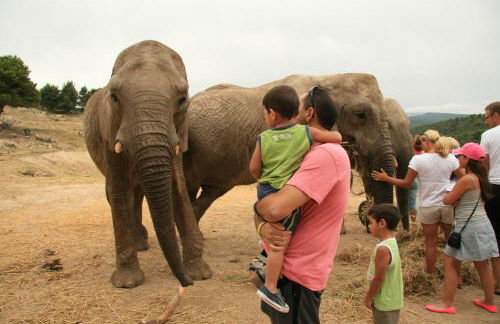 La Llar d´Aitana - Foto 28