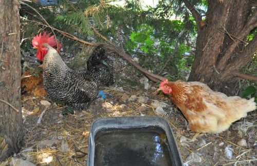 Farm stay Il Carro del Colle - Foto 19