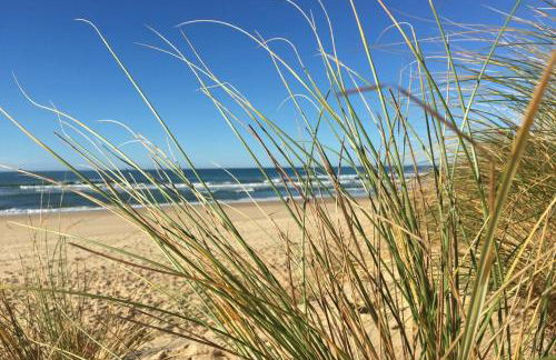 Beautiful Landes house park and tennis near ocean - Foto 37