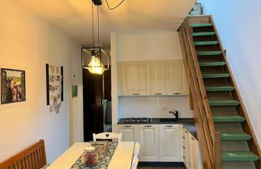 Mandi Mandi in pista - Foto 2