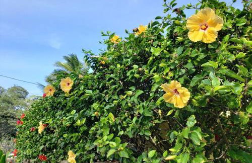 Moeʻuhane Kai Beach Front Home - Photo 61