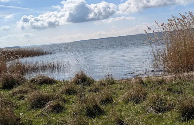 Farmstay Neuendorfkrug, La1/4tow - Formerly TUI - Foto 23