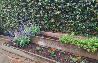 The Monarch - Foto 38