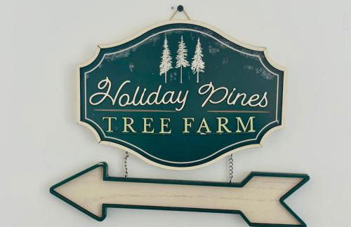 Holly Jolly Historic Home Where Its Always XMAS - Foto 22