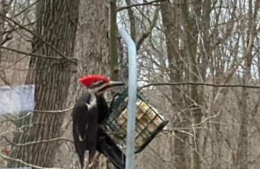 Trillium Ridge, Hocking Hills Area, 2 Bedroom, 3 Beds - Foto 11