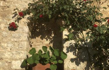 MEA CASA Toscana - Foto 61