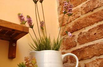 Agriturismo Fiorano - Foto 47