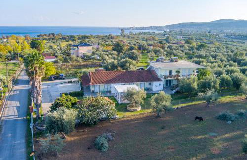 Anastasios Olive Garden Apartments - Foto 71