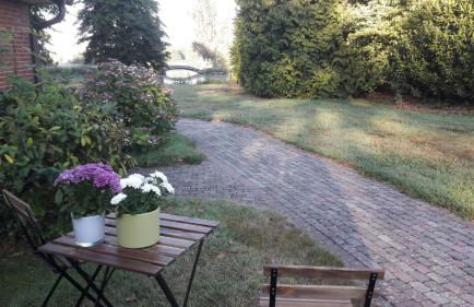 Austernfischer - Photo 11