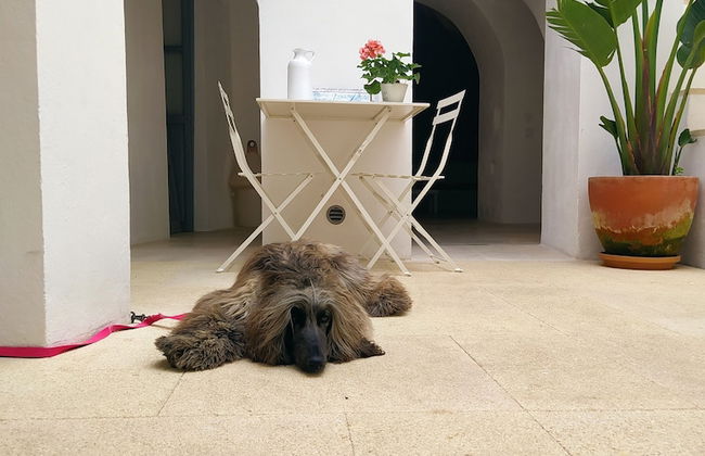 Casa boutique Encalada - Foto 73