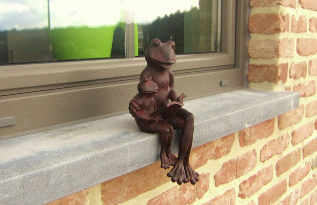 Holiday Home in Vodelee Near Lacs de L'eau D'heure - Foto 45