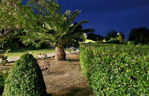 Altera Vita - Foto 73