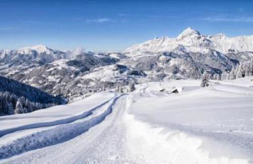 Résidence La Ferme Des Frasses - Mazot de charme MAE-3421 - Foto 21