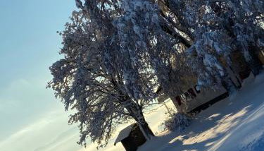 Allgäu Cottage - traumhafter Blick in die Schweizer Berge - Photo 5