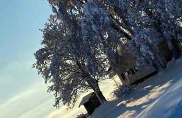 Allgäu Cottage - traumhafter Blick in die Schweizer Berge - Foto 42