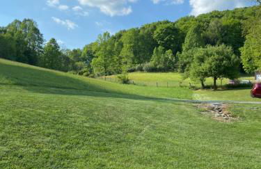 Home in the Heart of W.V. Adventure Country! - Photo 42