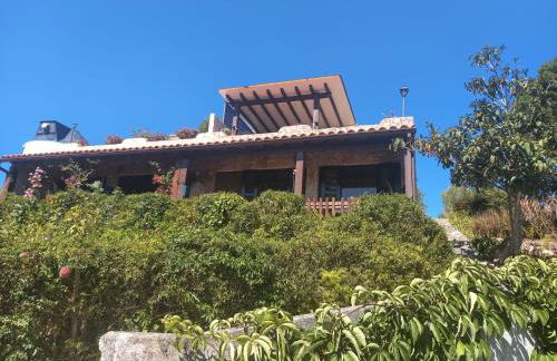 Banyan Tree - Foto 3