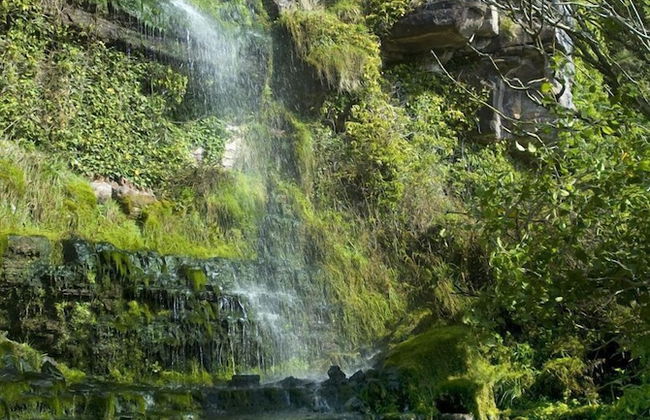 Cutlar's Lodge - Foto 16