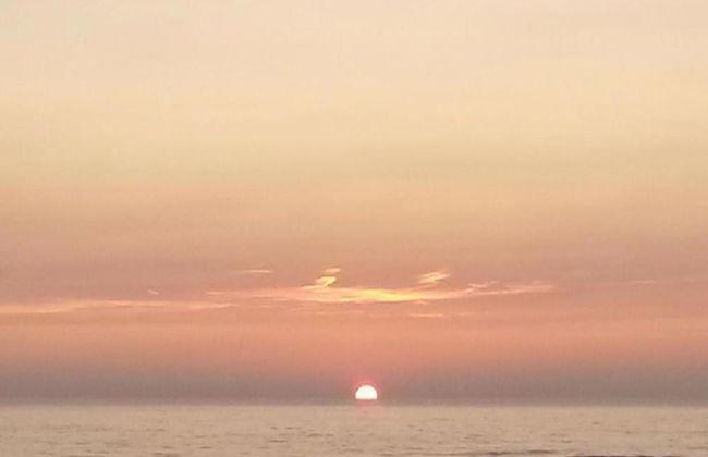 Elite Holiday Home in North Holland near Forest - Foto 17