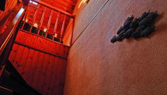 Blick auf den Bodden - Foto 5