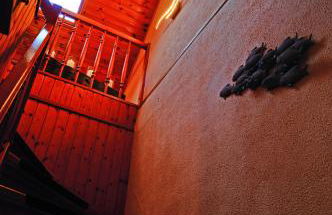 Blick auf den Bodden - Foto 5