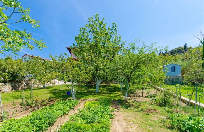 Grga - 300m to the sea - A1 - Foto 10