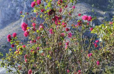 Villa Ntona - Foto 34