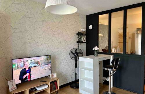 Studio Bd Joseph Girod Clermont Centre - Foto 4