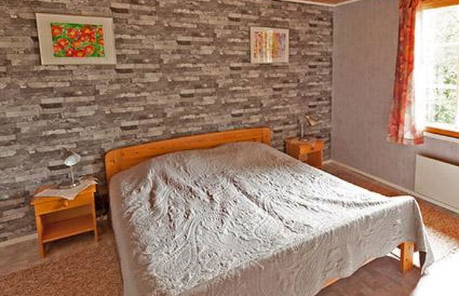 Keltavuokko - Foto 13