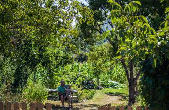 Reitoral de Chandrexa - Foto 71