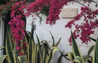 Villa Sara di Puglia - Foto 9