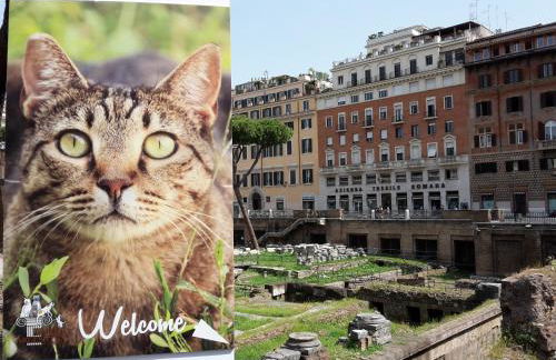 Suite Argentina - Foto 39