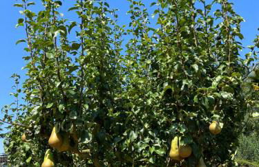 Villa Marta loft diáfano con jardín y aparcamiento en Villa histórica - Foto 29