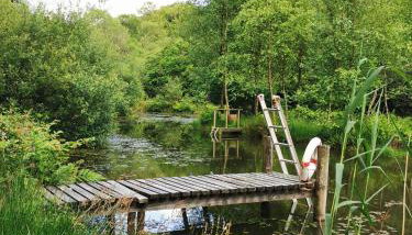 Meadow Bluebird - Photo 2