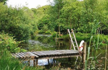 Meadow Bluebird - Foto 2