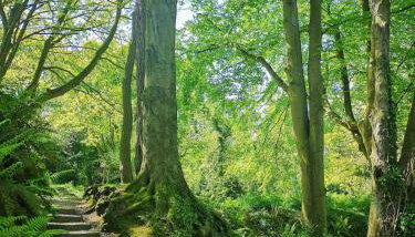 Loughview Cottage - Foto 5