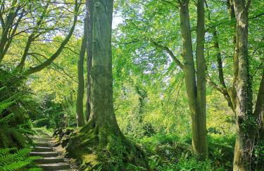 Loughview Cottage - Foto 5