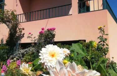 Abrigo do Monte - Foto 43