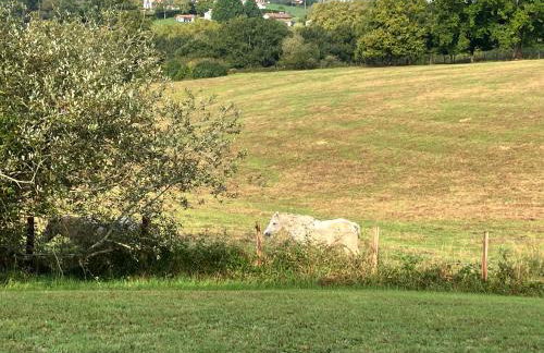 VILLA ARCANGUES - Foto 26